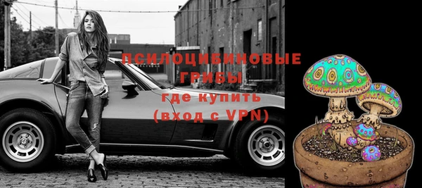 бошки Аркадак