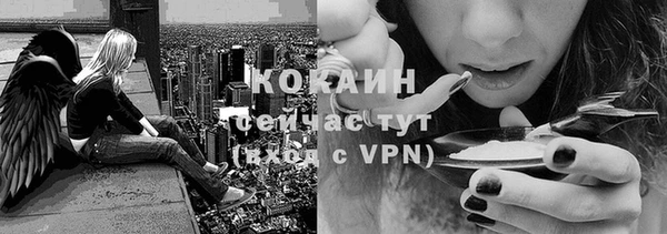 соль ск Алексеевка
