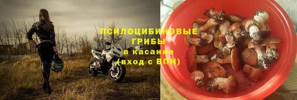 соль ск Алексеевка